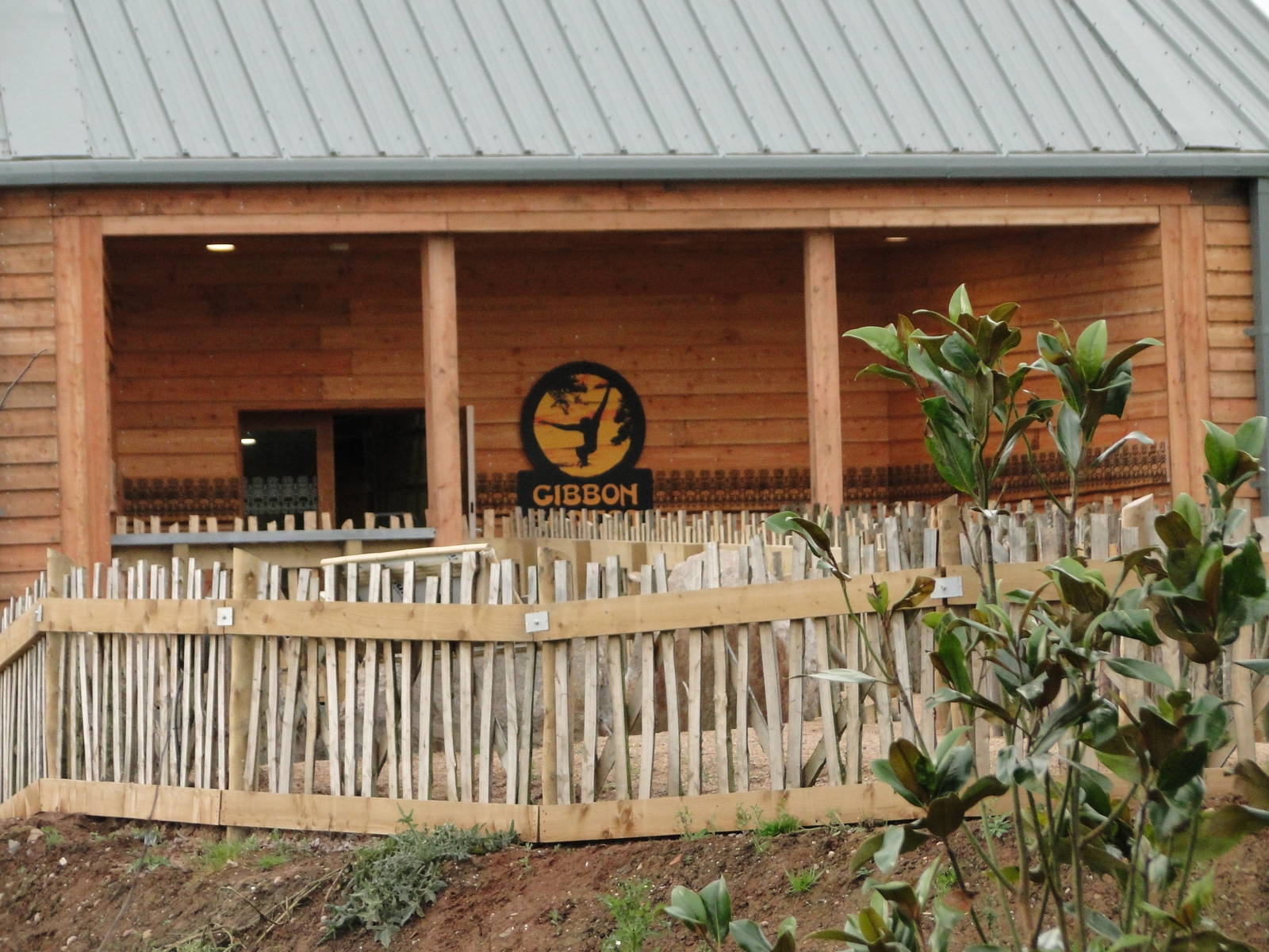 Gibbon Forest Tuesday 22nd December 2015 - 10 of 16