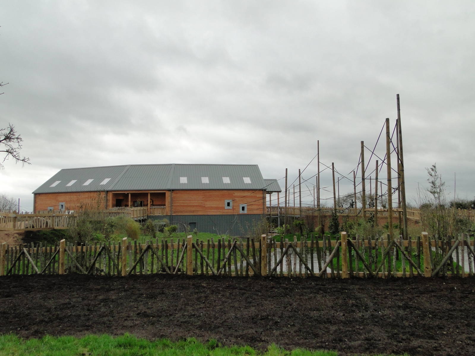 Gibbon Forest Tuesday 22nd December 2015 - 11 of 16