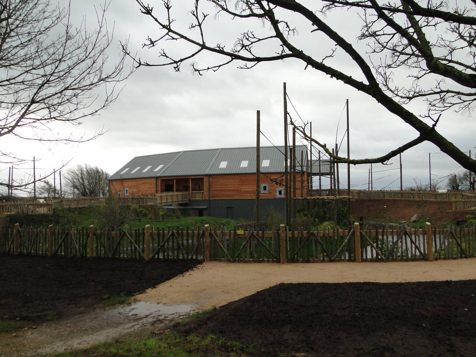 Gibbon Forest Tuesday 22nd December 2015 - 12 of 16