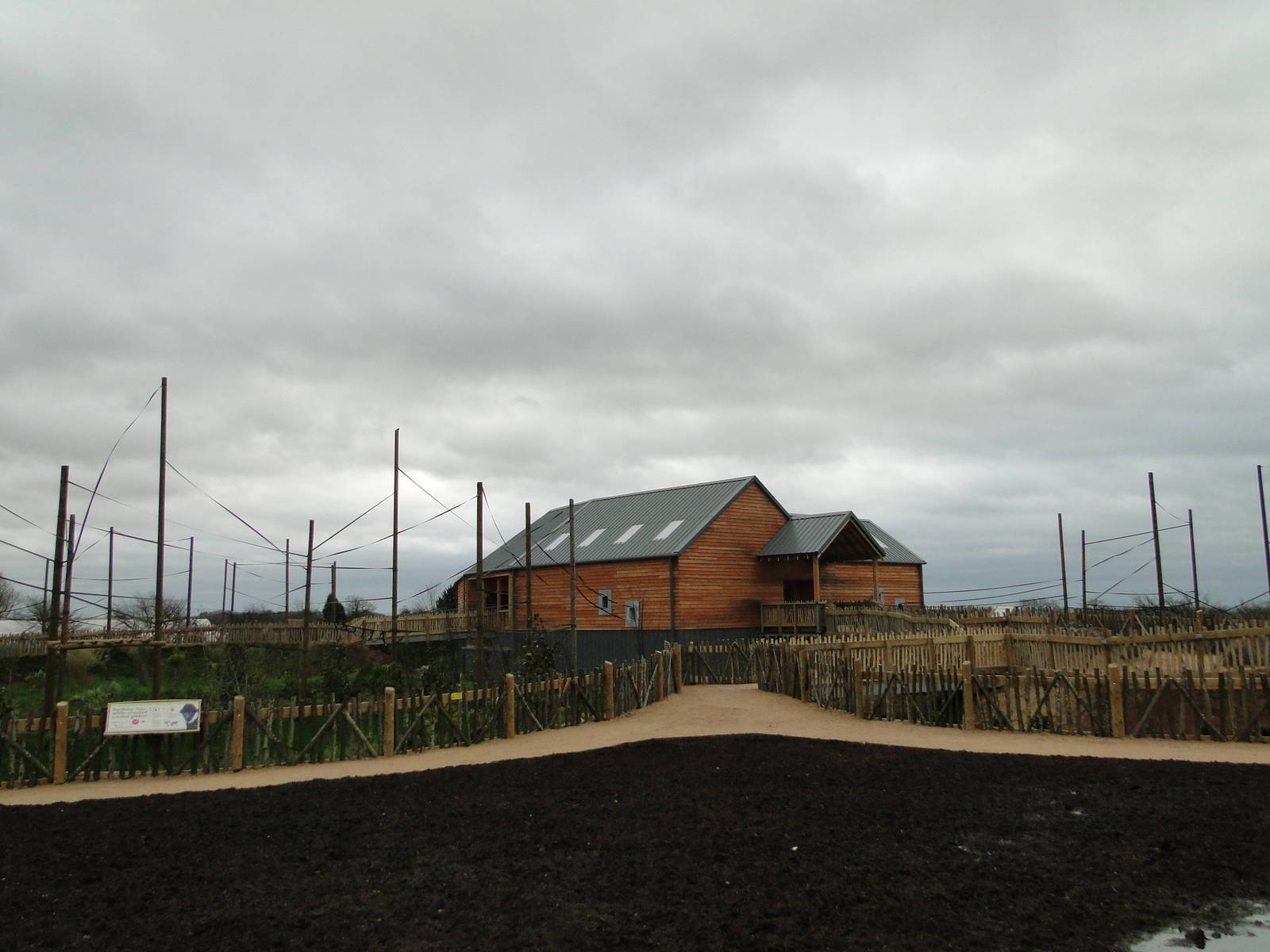 Gibbon Forest Tuesday 22nd December 2015 - 14 of 16