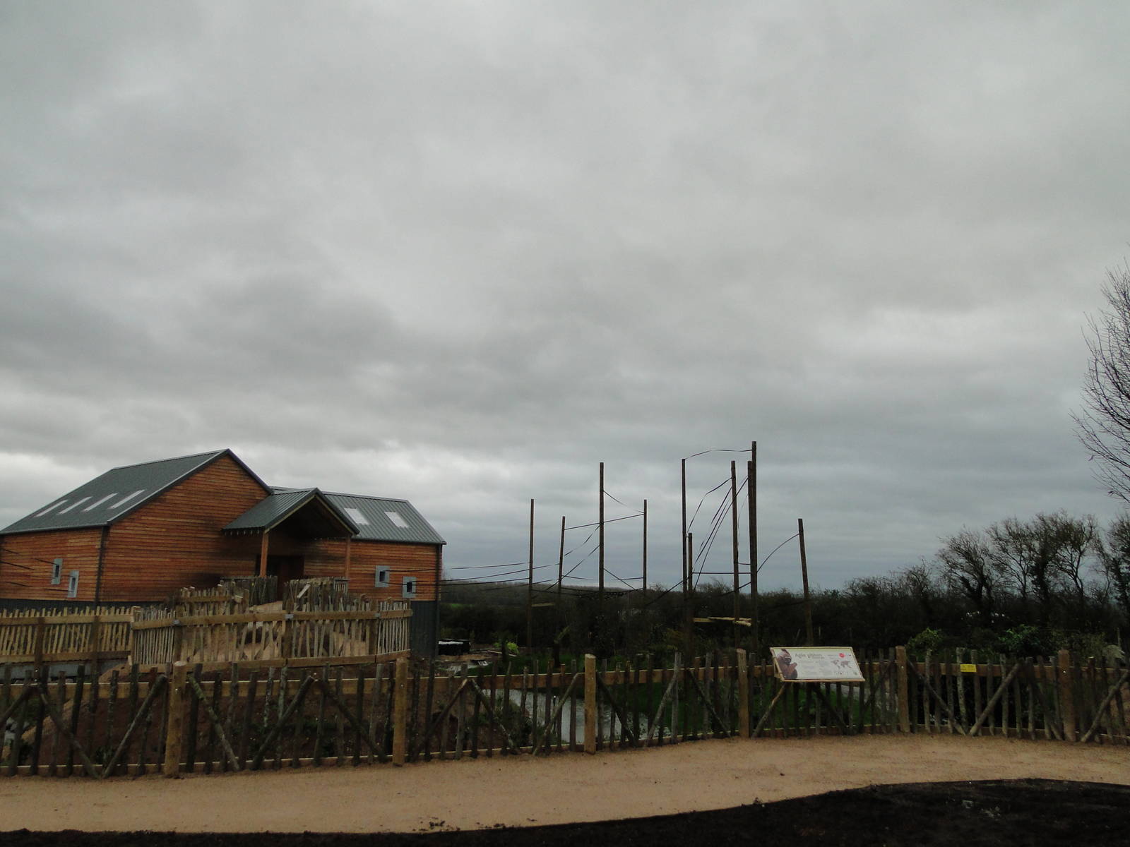 Gibbon Forest Tuesday 22nd December 2015 - 15 of 16