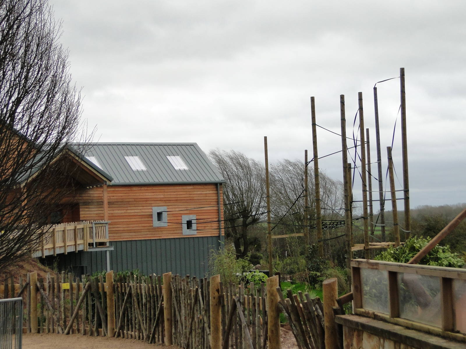 Gibbon Forest Tuesday 22nd December 2015 - 16 of 16