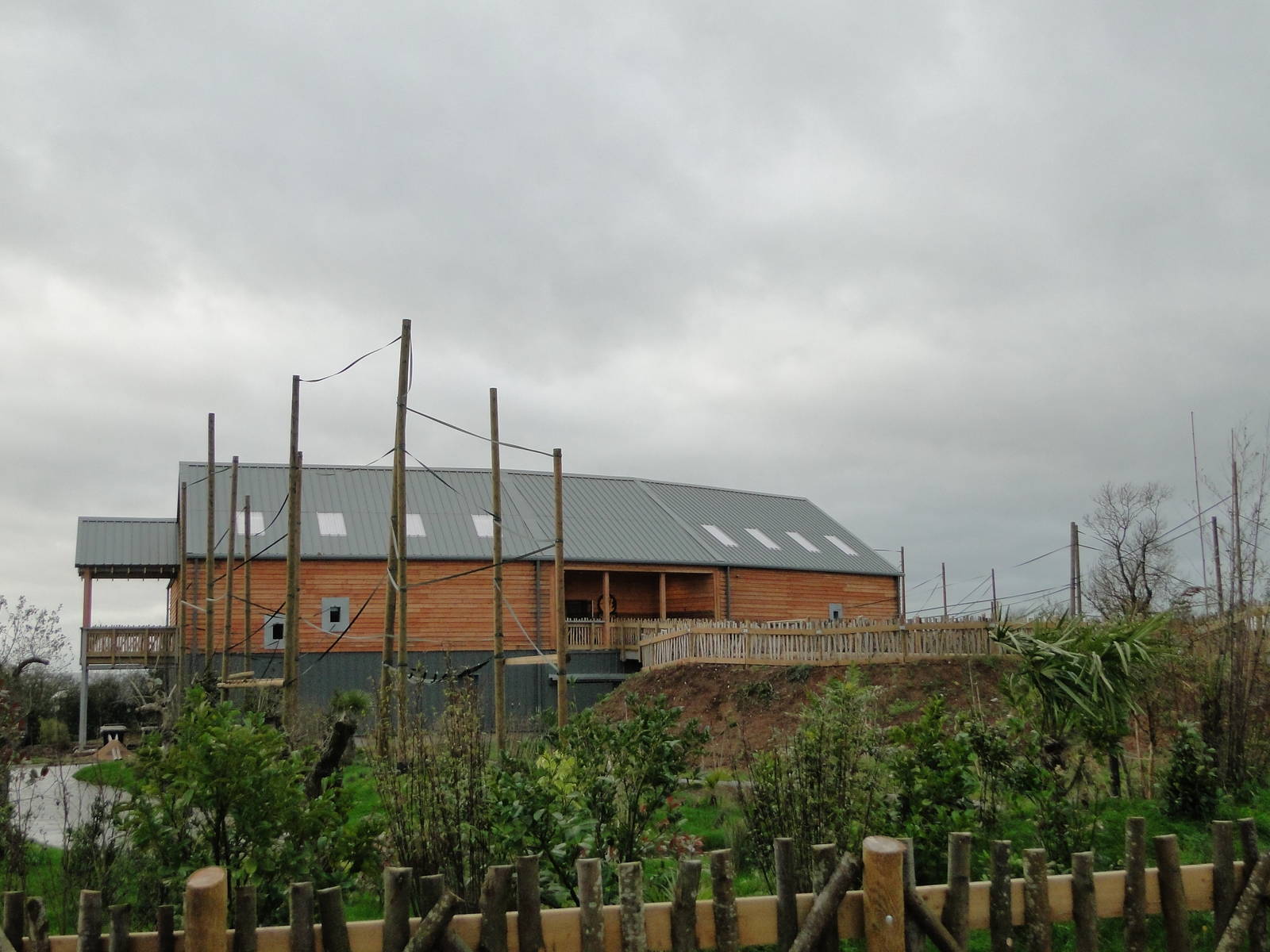 Gibbon Forest Tuesday 22nd December 2015 - 2 of 16