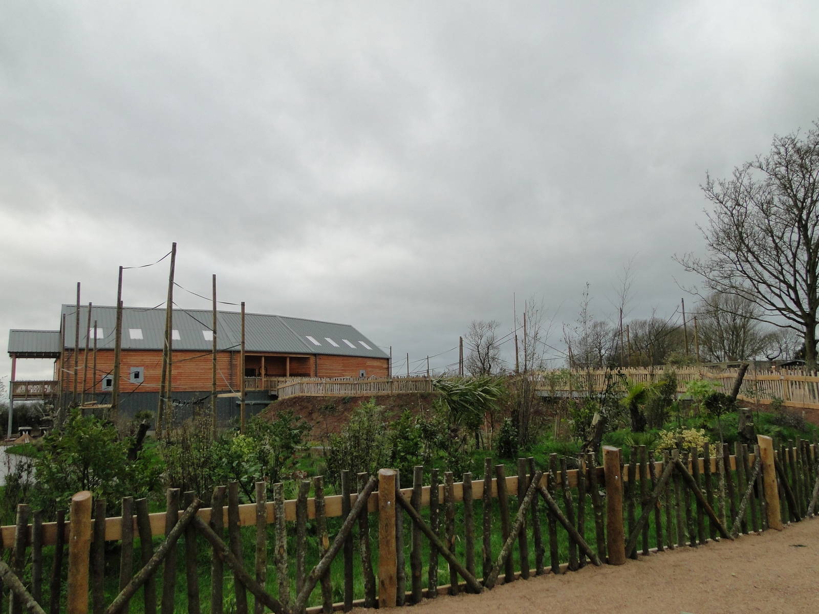 Gibbon Forest Tuesday 22nd December 2015 - 3 of 16