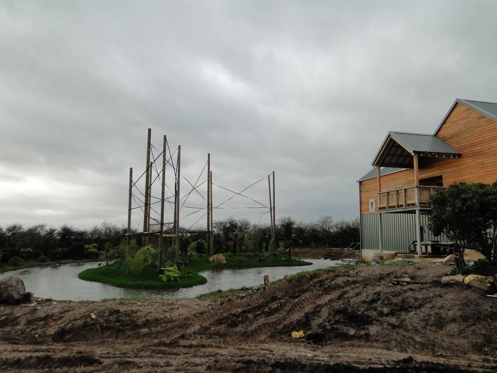 Gibbon Forest Tuesday 22nd December 2015 - 4 of 16