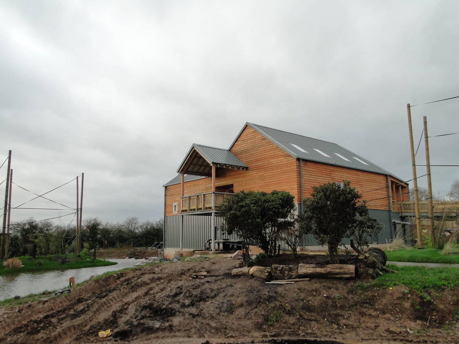 Gibbon Forest Tuesday 22nd December 2015 - 5 of 16