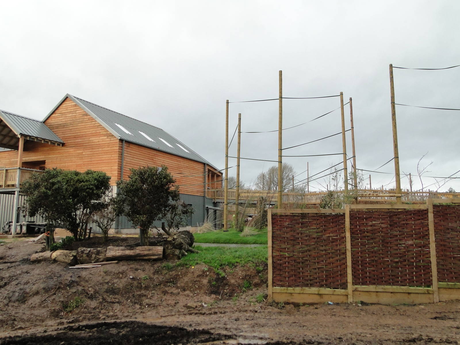 Gibbon Forest Tuesday 22nd December 2015 - 6 of 16