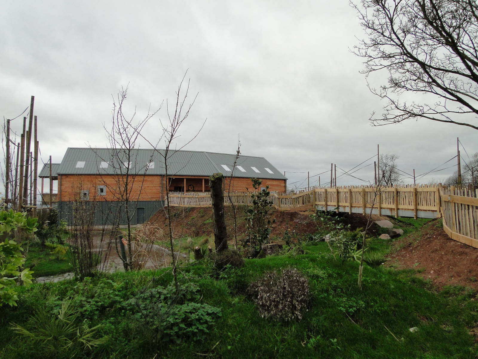 Gibbon Forest Tuesday 22nd December 2015 - 7 of 16