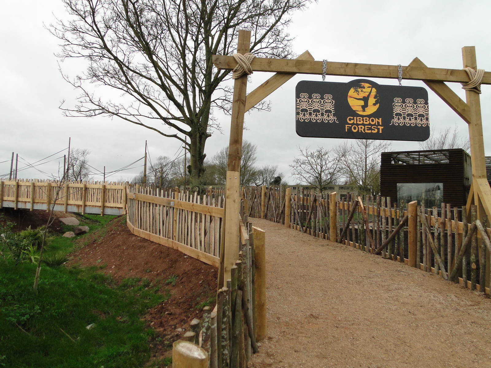 Gibbon Forest Tuesday 22nd December 2015 - 8 of 16