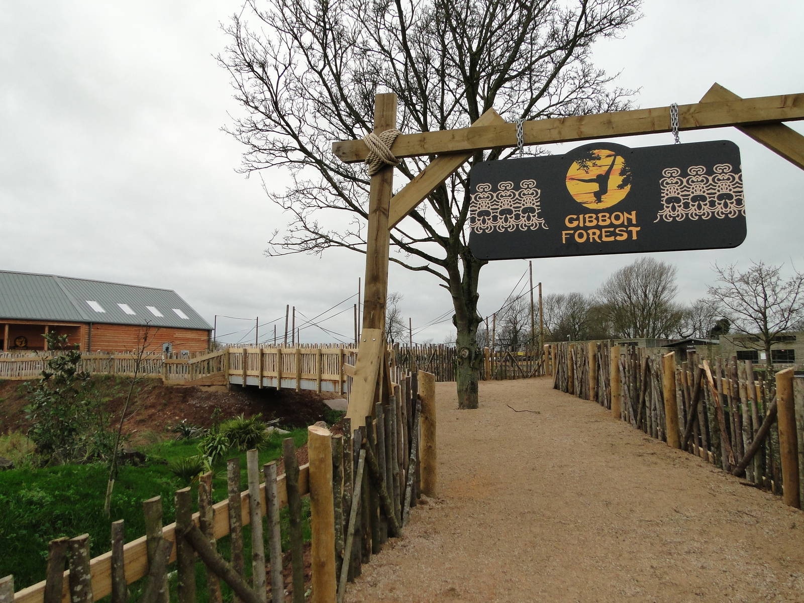 Gibbon Forest Tuesday 22nd December 2015 - 9 of 16