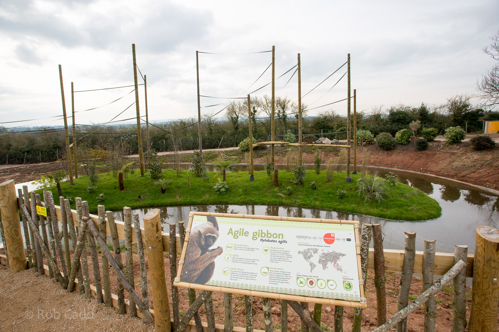 Gibbon Forest : Twycross : 26 Feb 2016