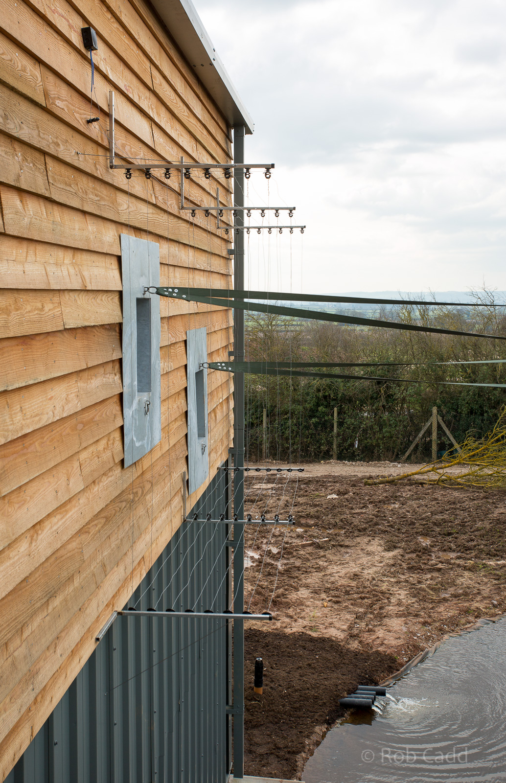 Gibbon Forest : Twycross : 26 Feb 2016