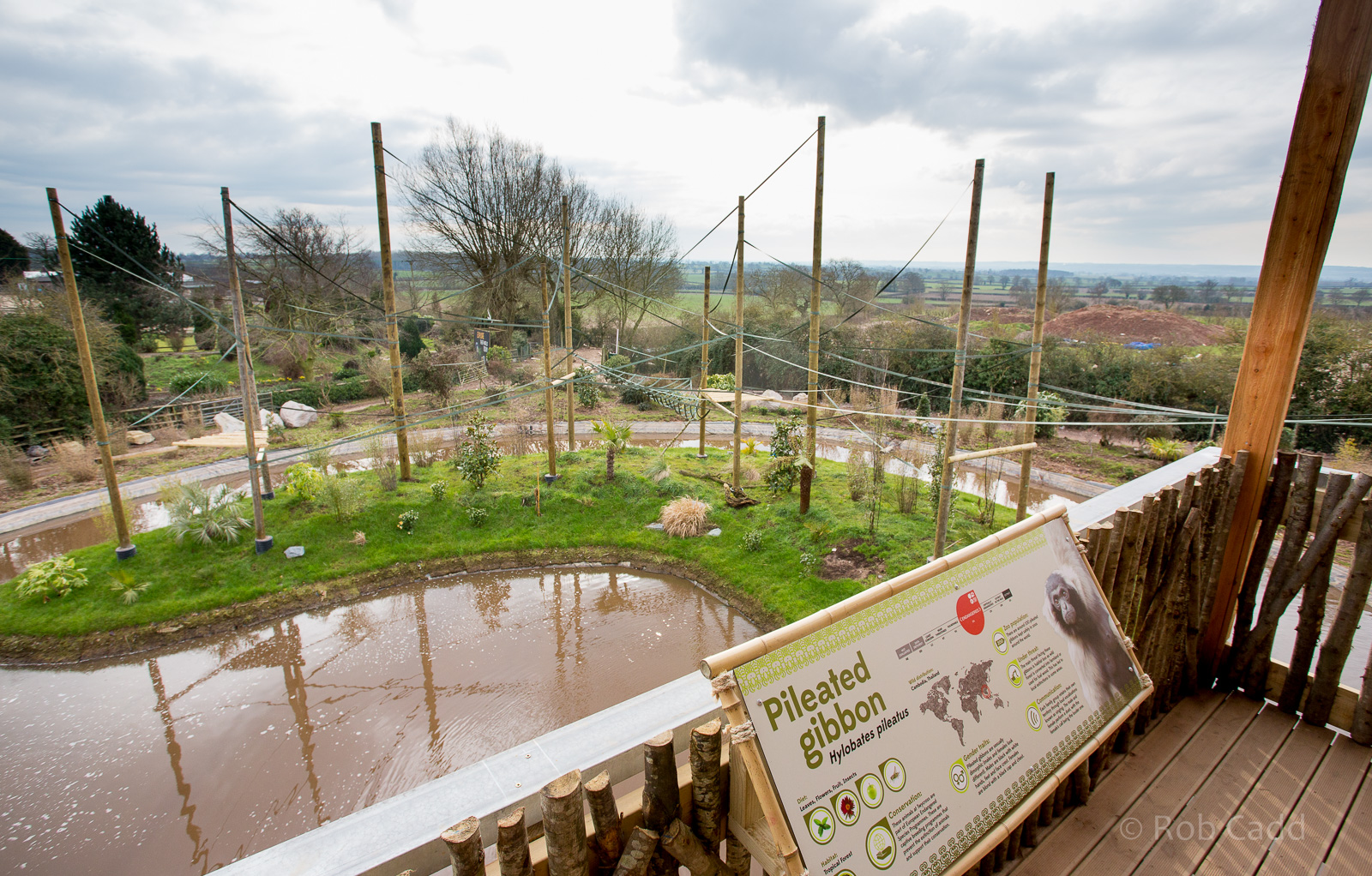 Gibbon Forest : Twycross : 26 Feb 2016