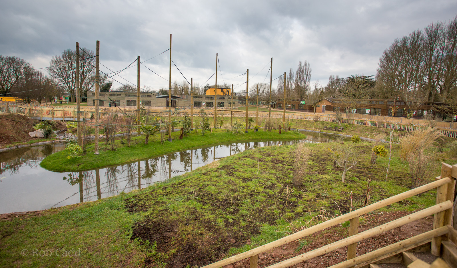 Gibbon Forest : Twycross : 26 Feb 2016