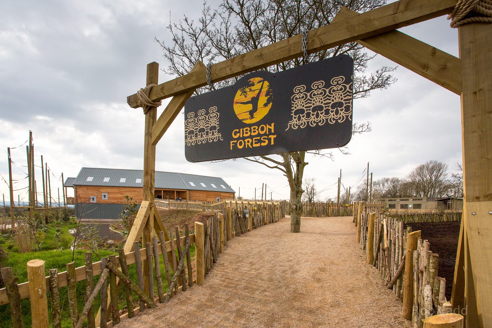 Gibbon Forest : Twycross : 26 Feb 2016