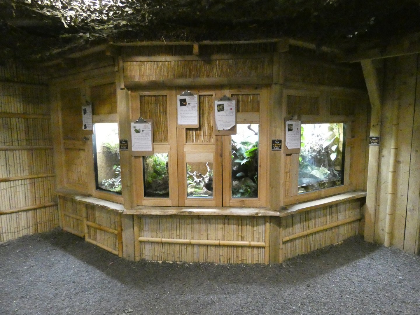 Gibbon Forest vivariums