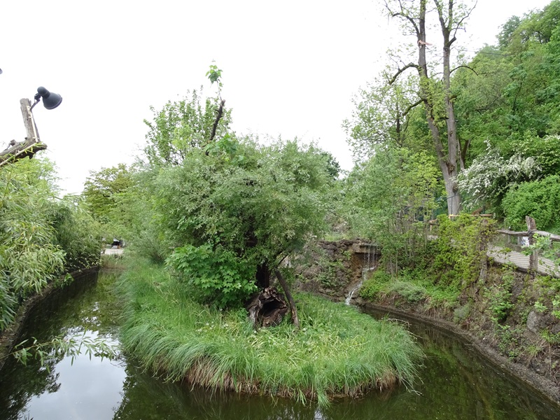 Gibbon Haus: Binturong enclosure