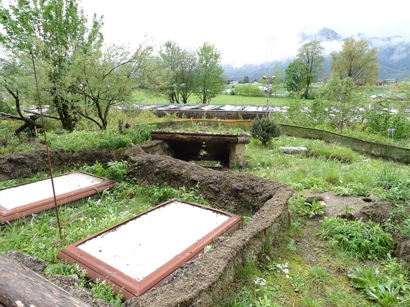 Gibbon Haus: Hermann's tortoise enclosure