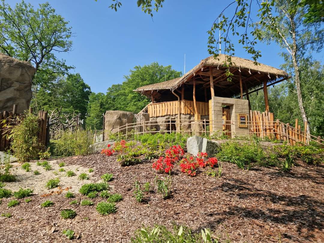 Gibbon/Hog deer exhibit viewing platform