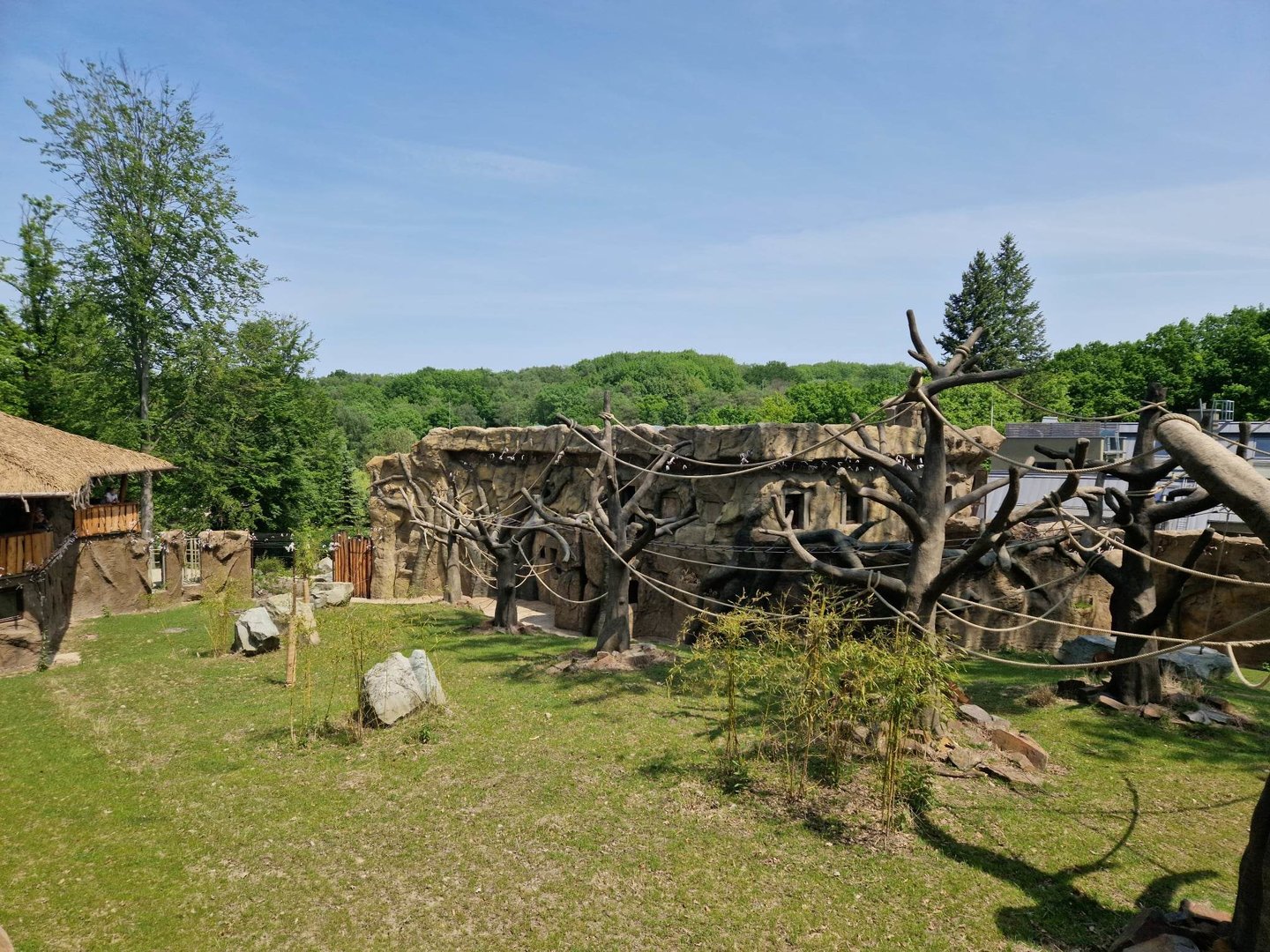 Gibbon/Hog deer exhibit