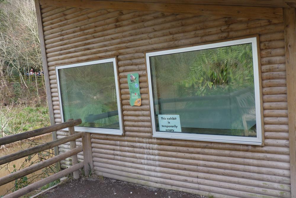 Gibbon House 15 February 2012