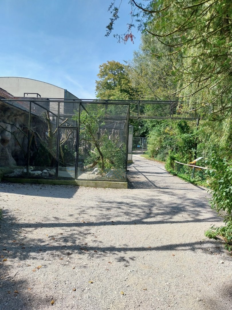 Gibbon House - Access to island