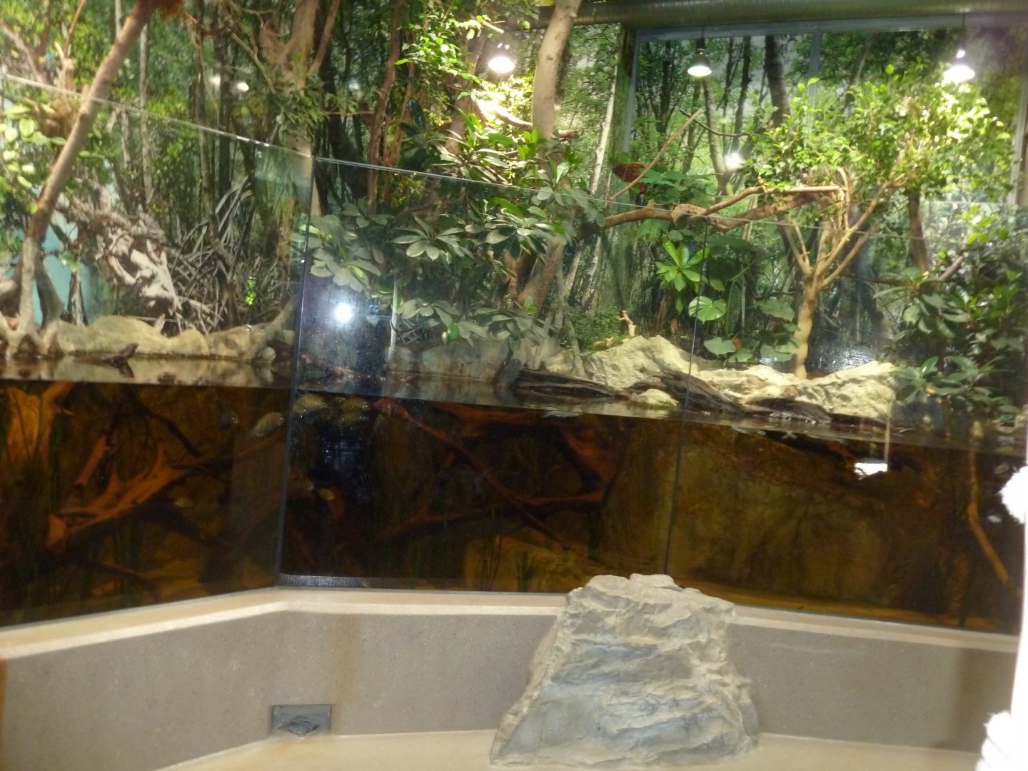 Gibbon house - Aqua-terrarium