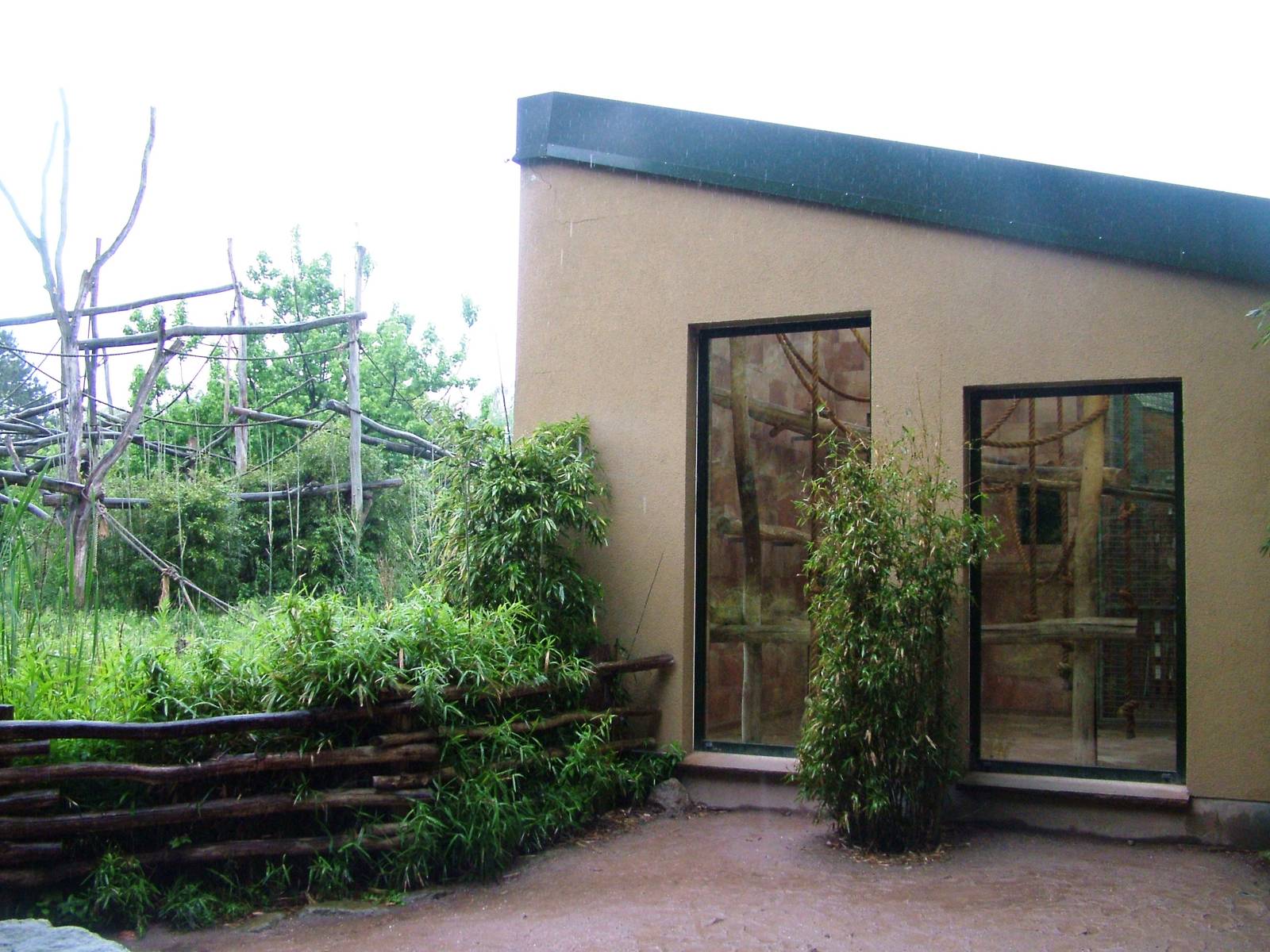 Gibbon House at Rheine, 03/06/12