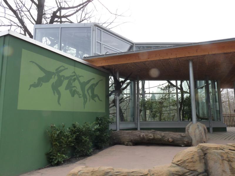 Gibbon house, clsoer View