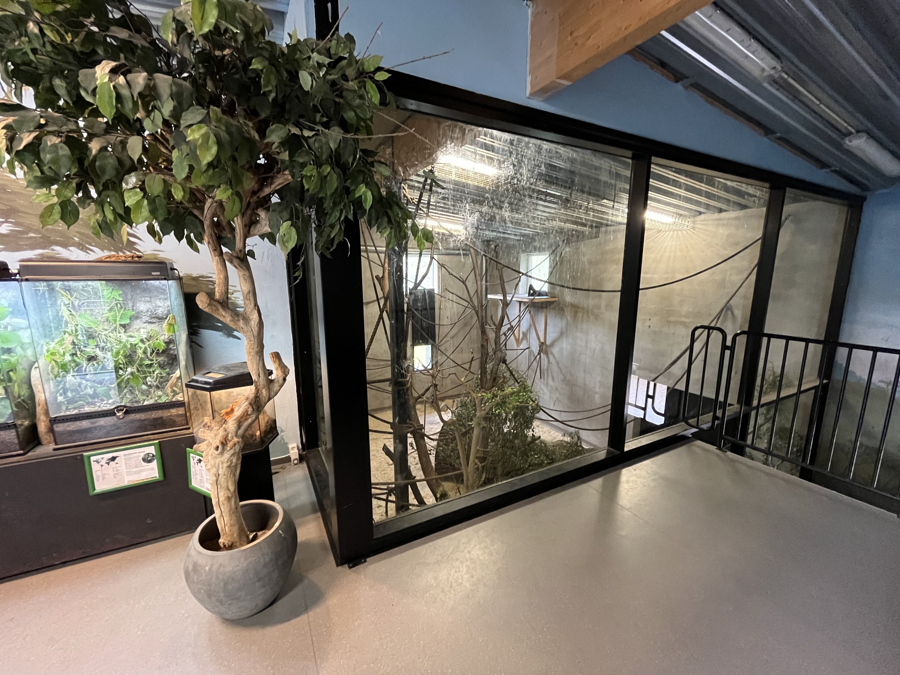 Gibbon House - second level