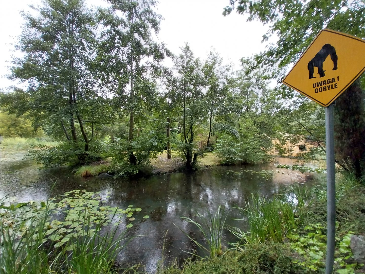 Gibbon House - Siamang island
