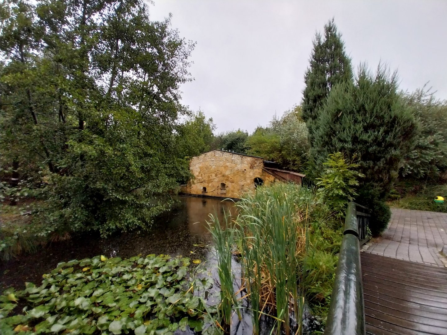 Gibbon House - Siamang