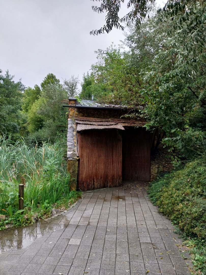 Gibbon House - Siamang