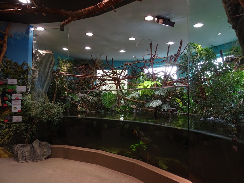 Gibbon House: Tamarin + fish paludarium
