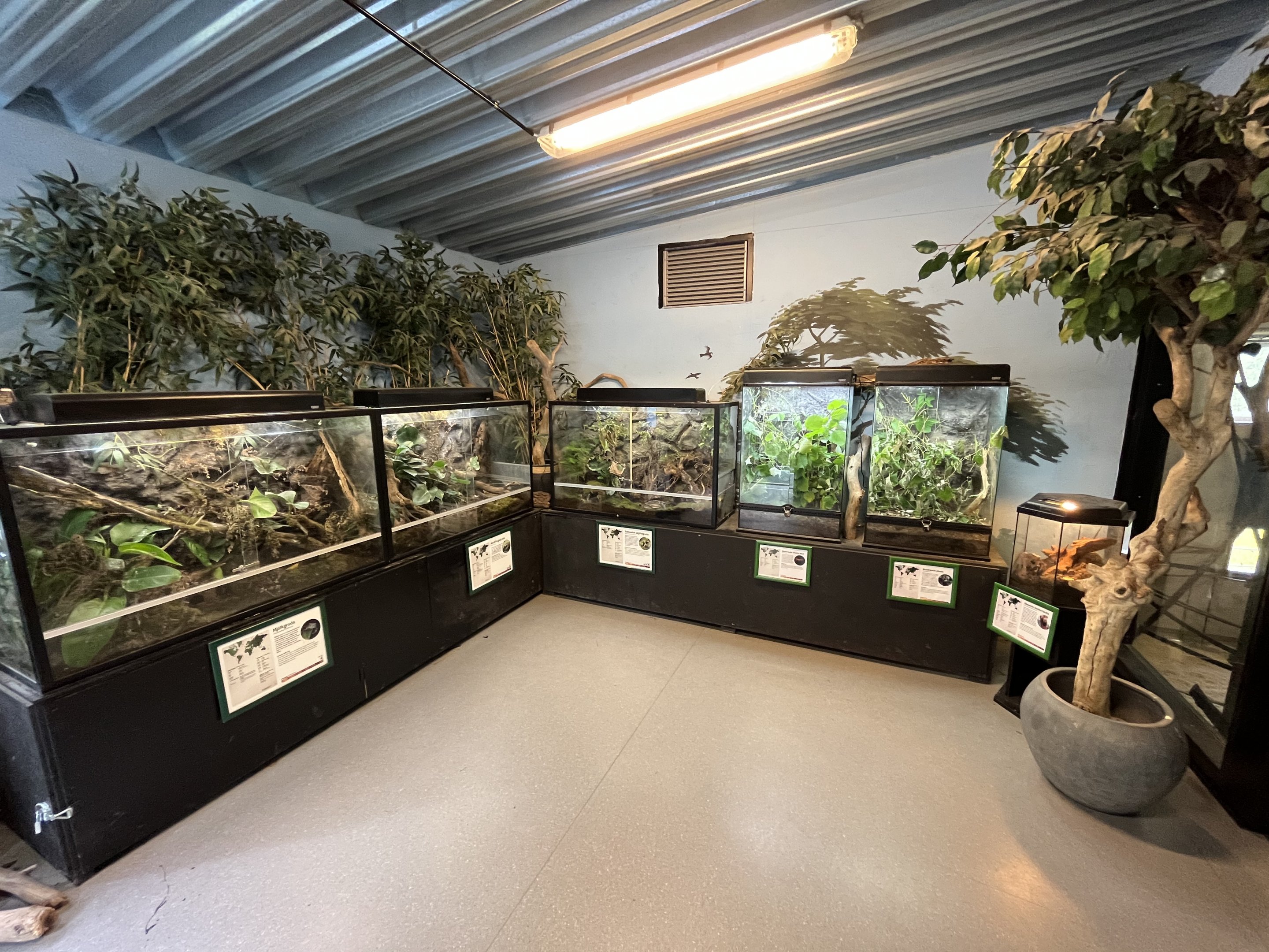 Gibbon House - terrariums