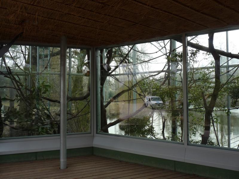 Gibbon house, the indoor exhibit