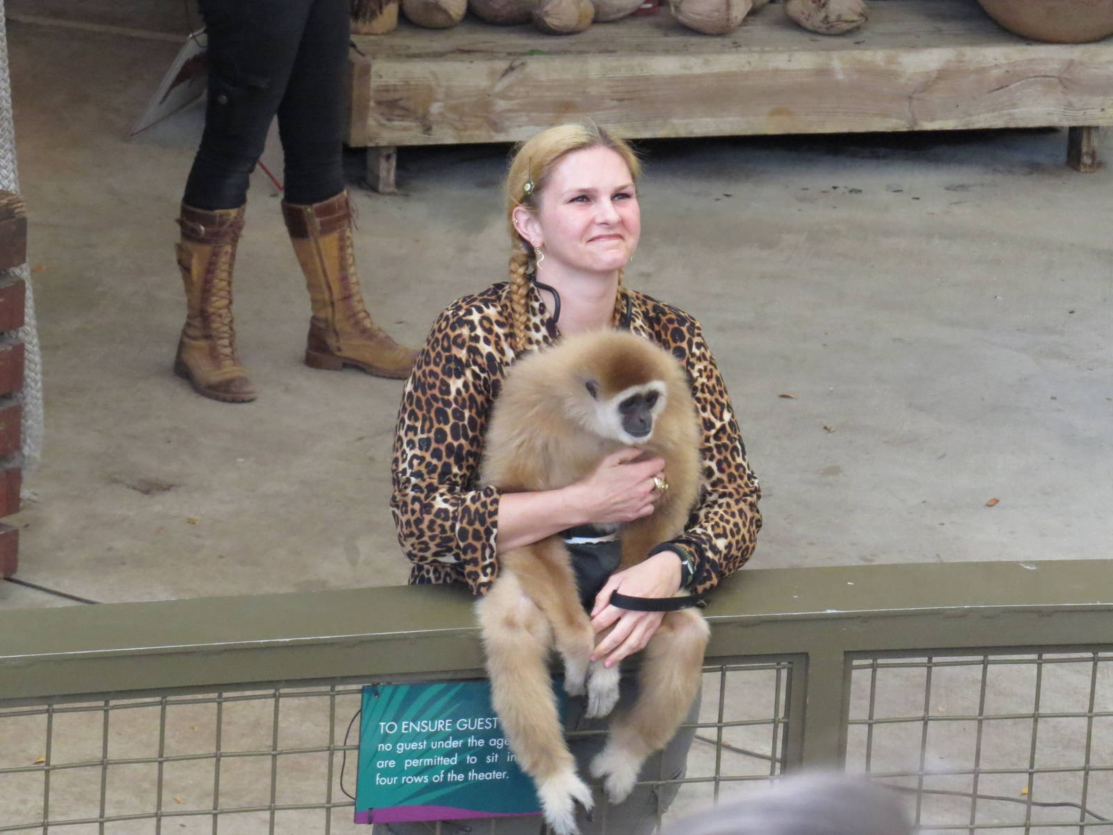 Gibbon in the show, March 2015