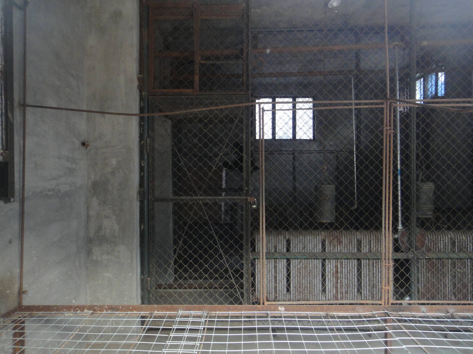 Gibbon in the winter house