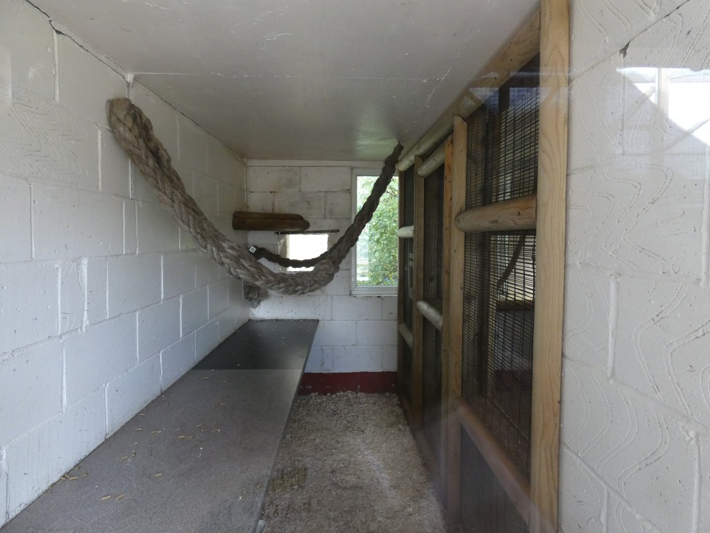 Gibbon indoor enclosure