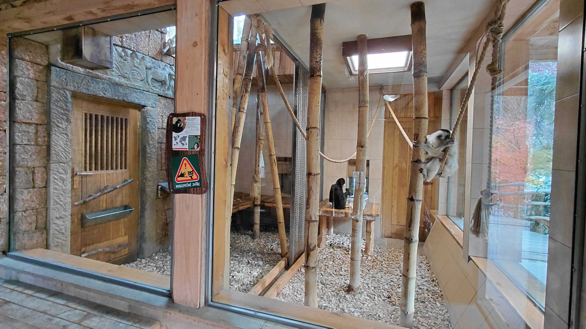 Gibbon indoor exhibit