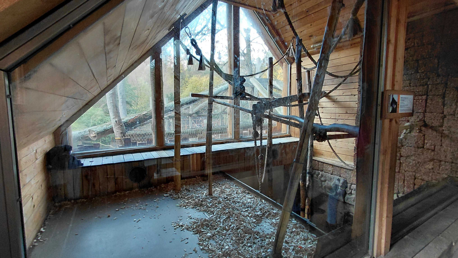 Gibbon indoor exhibit