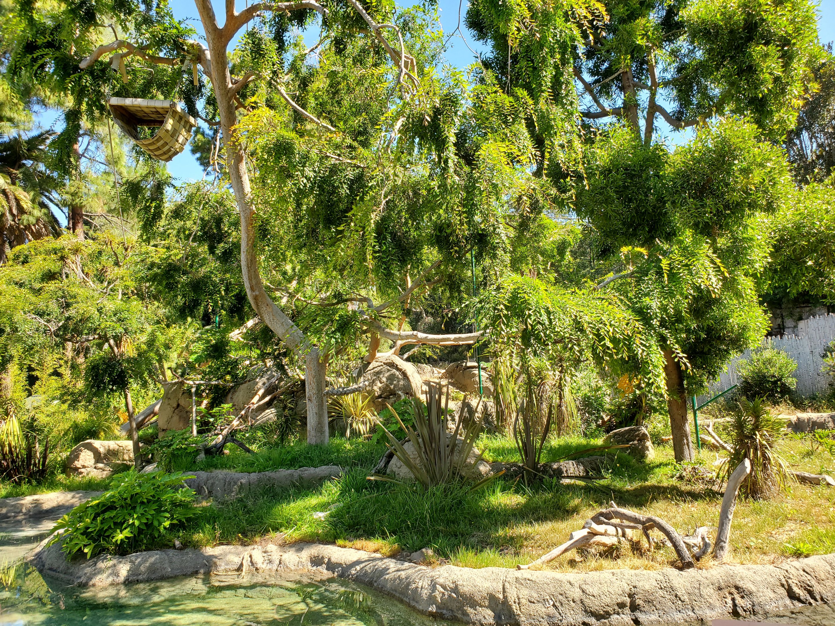 Gibbon Island - 10 Jun 2022