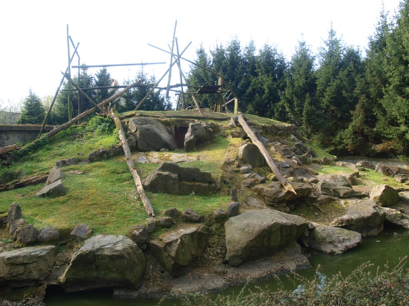 Gibbon island (April 19th, 2015)