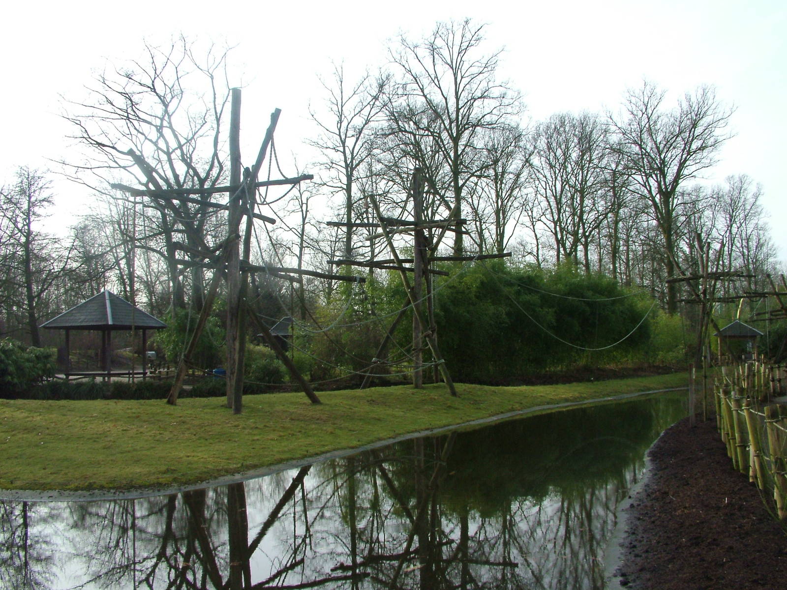Gibbon island at Planckendael Jan 09