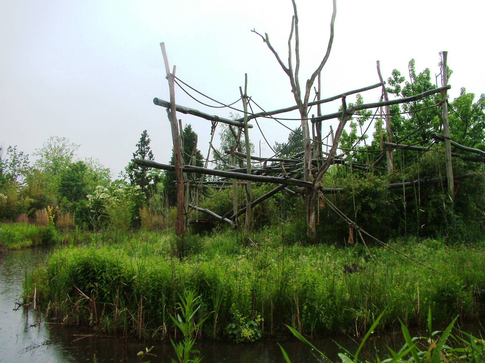 Gibbon Island at Rheine, 03/06/12