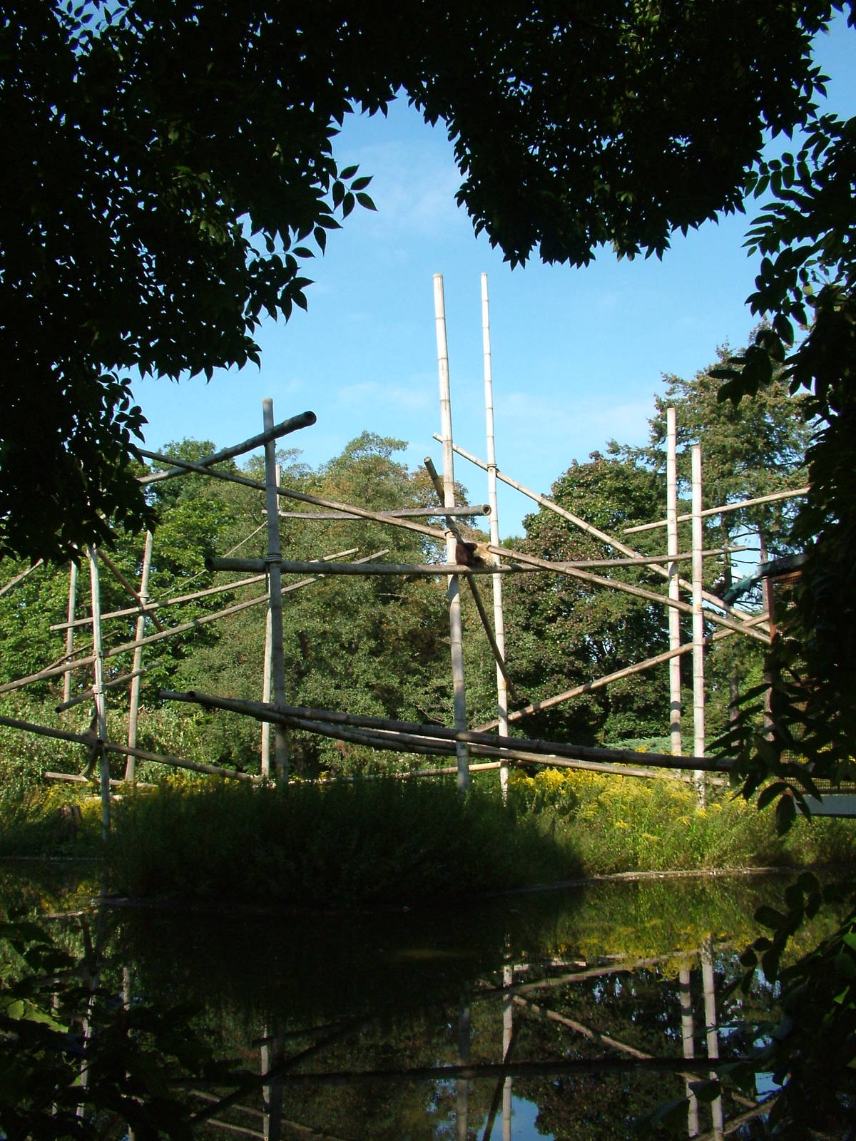 Gibbon Island at Tierpark Berlin, 01/09/11