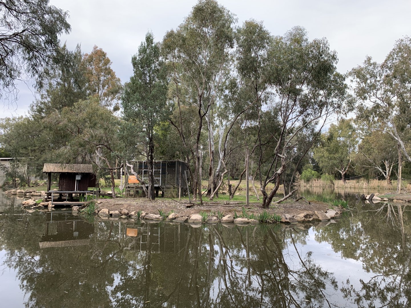 Gibbon Island Closed