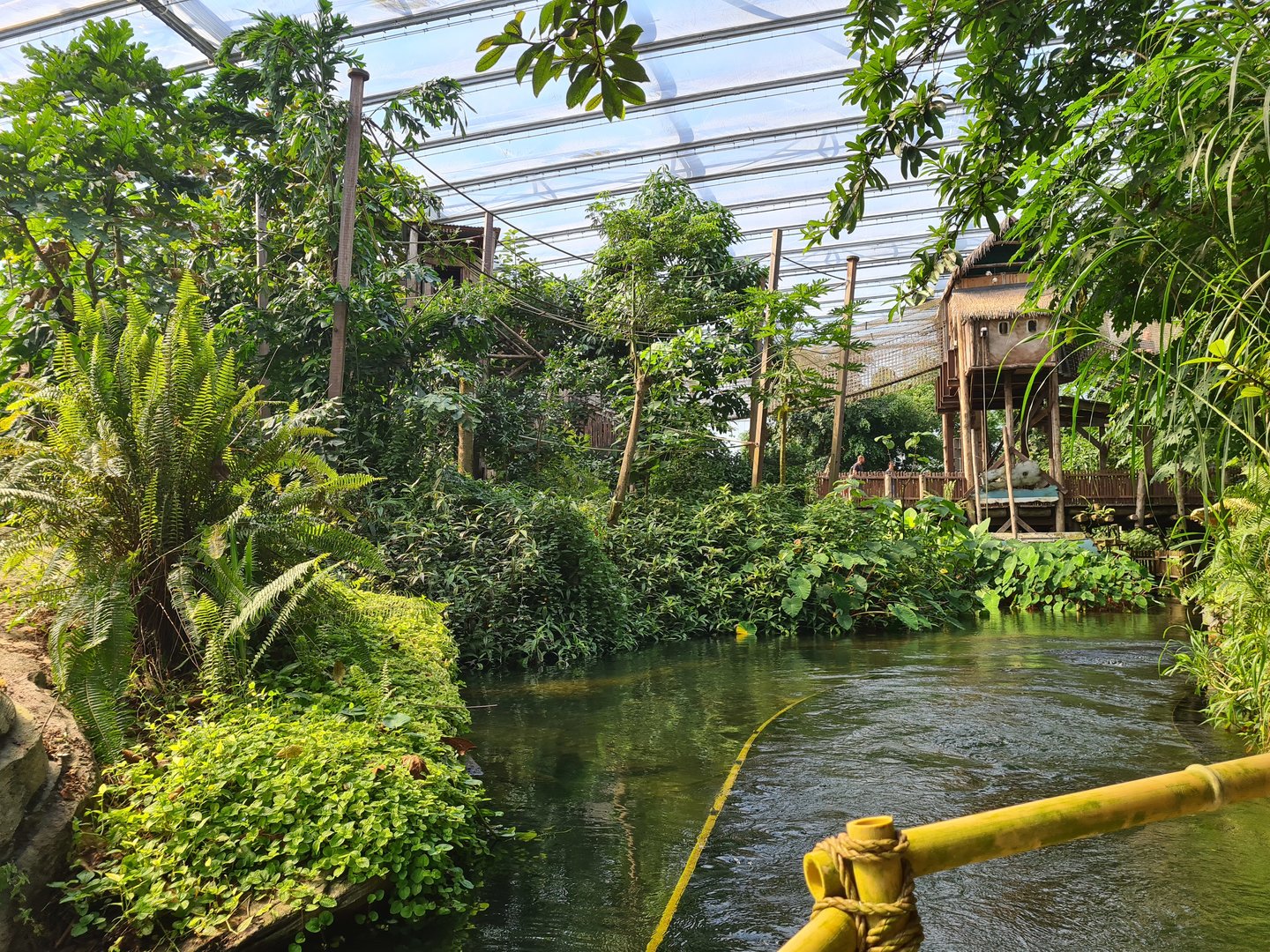 Gibbon island from Rimbula river boat ride