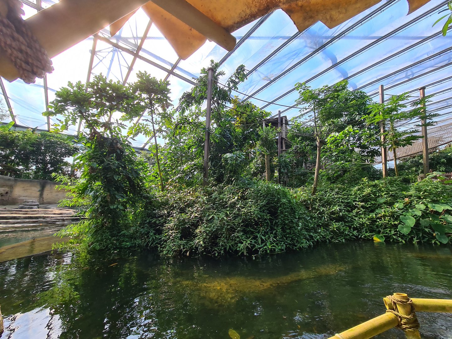 Gibbon island from Rimbula river boat ride