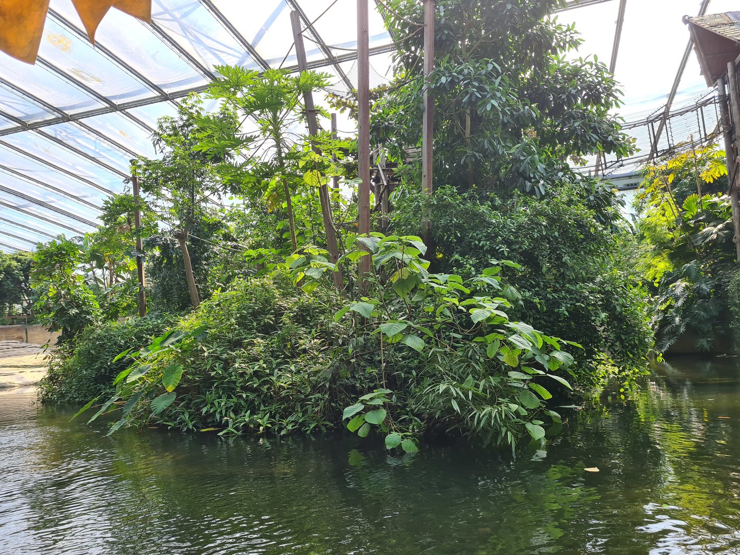 Gibbon island from Rimbula river boat ride